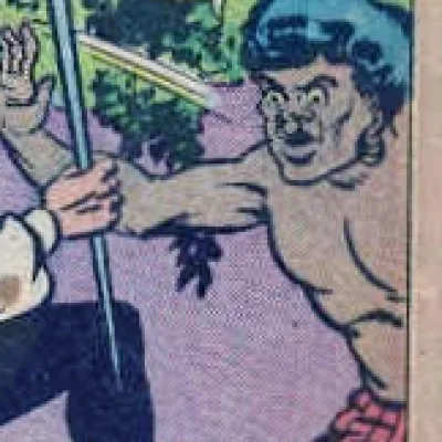 Puli