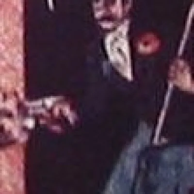 Purnelli