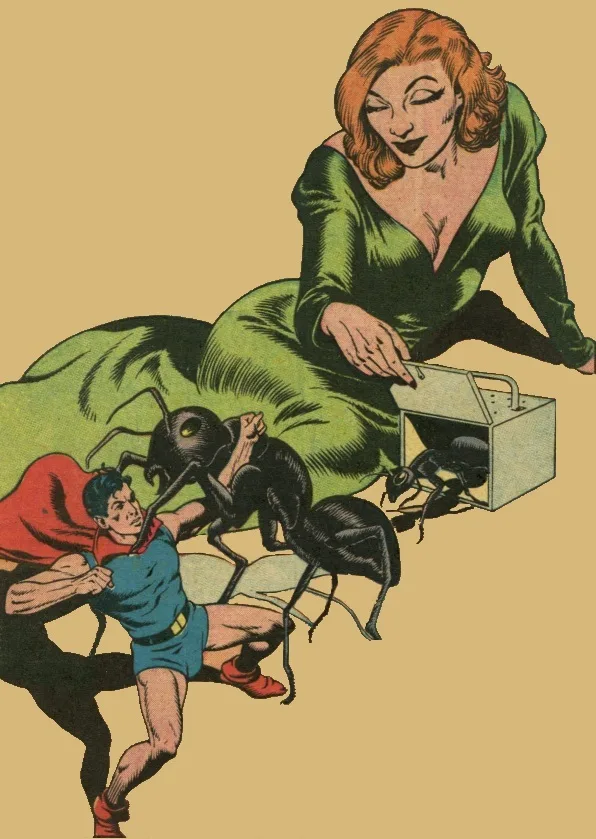 Queen of the Ants