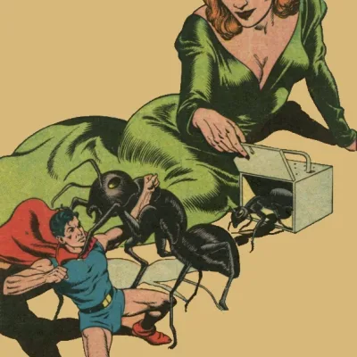 Queen of the Ants