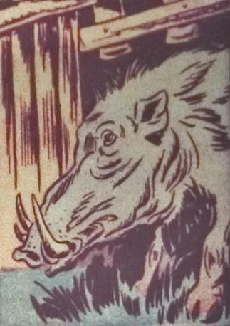 Quog