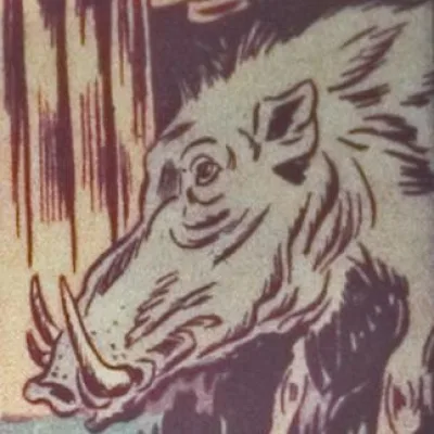 Quog