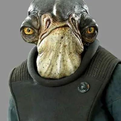 Raddus