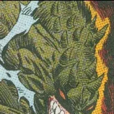Rakkus