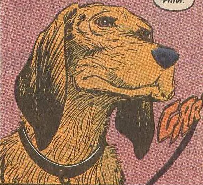 Rambo The Dog