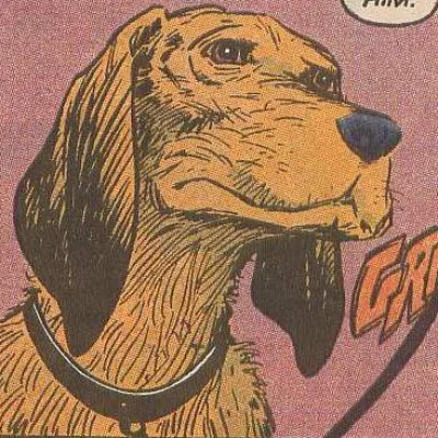 Rambo The Dog