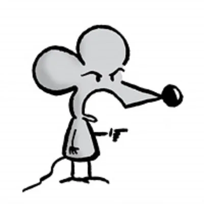 Rat