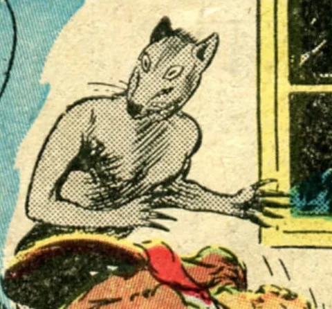 Rat
