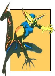 Rat