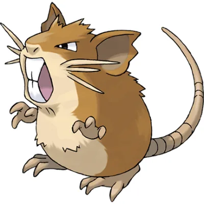 Raticate