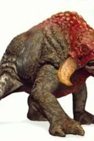 Reek