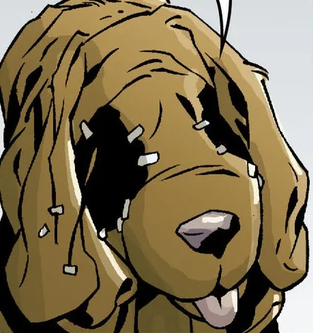 Rex