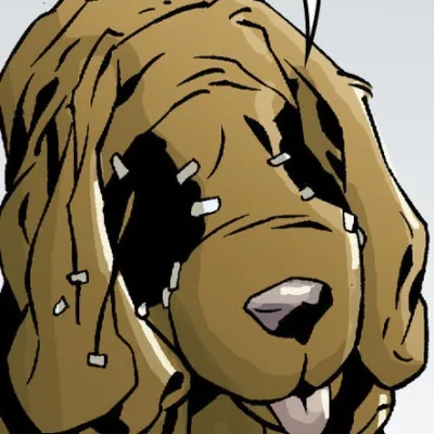Rex