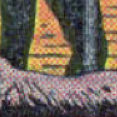 Rex