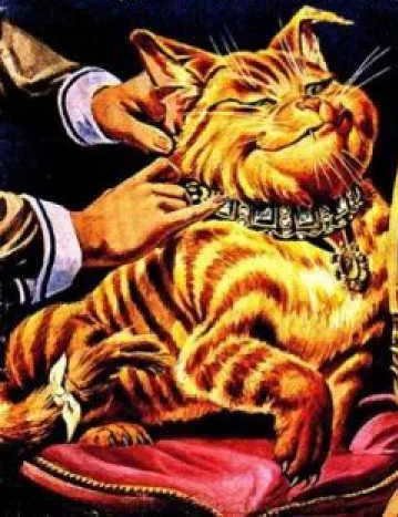 Rhubarb The Millionaire Cat