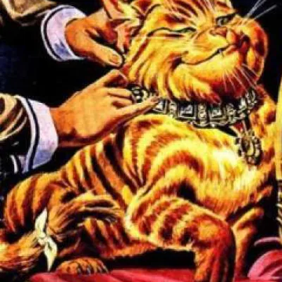 Rhubarb The Millionaire Cat