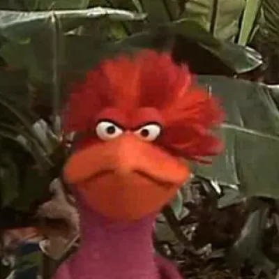 Righton Bird