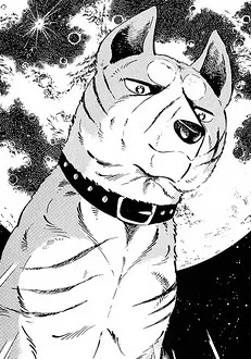 Riki