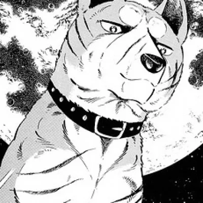 Riki