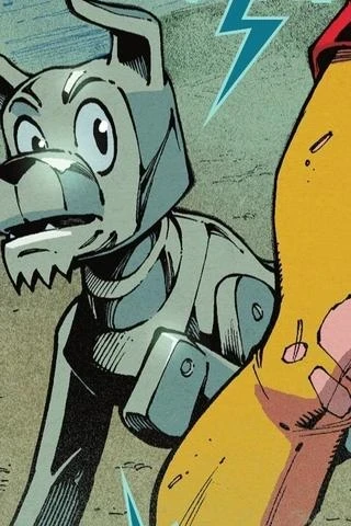 Robbie the Robot Dog