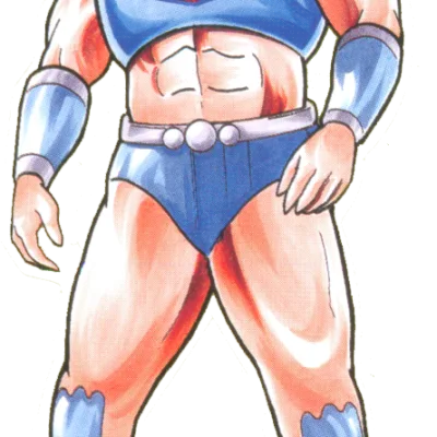 Robin Mask