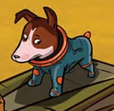 Rocco Rocket