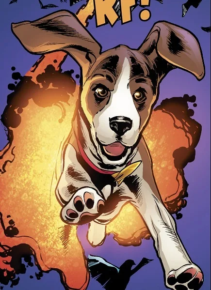 Rocket Dog