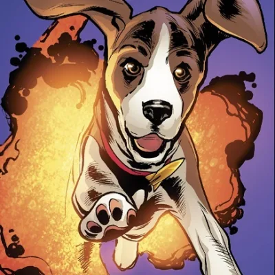 Rocket Dog