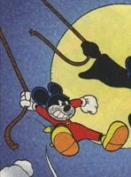 Rodent