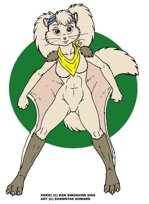 Rokki