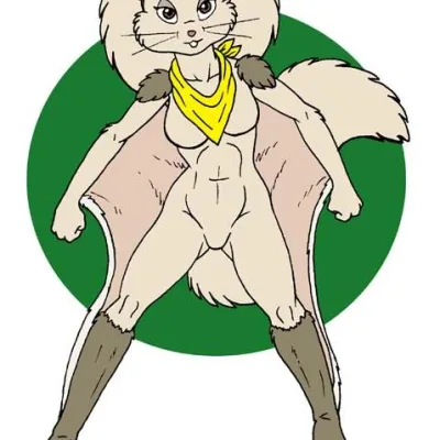 Rokki
