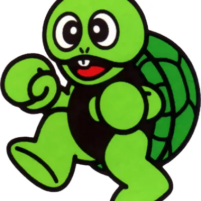 Rolling Turtle