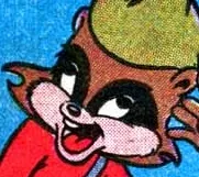 Rollo Raccoon