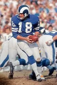 Roman Gabriel