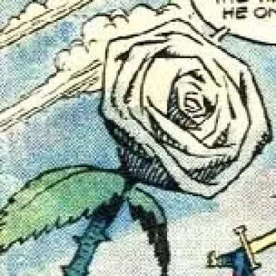 Rose of Purity