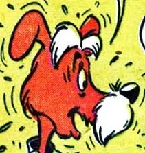Ruff