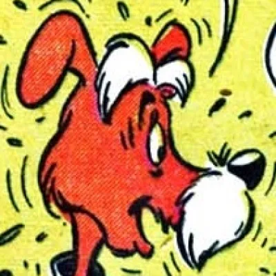 Ruff