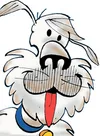 Ruff