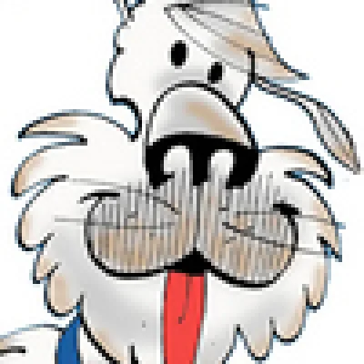 Ruff