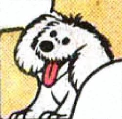 Rufus