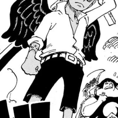 S-Hawk