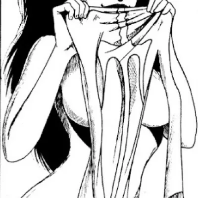 Sai