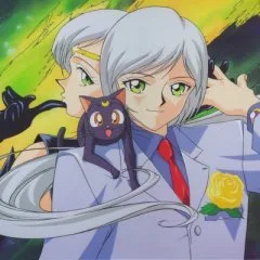 Sailor Star Healer