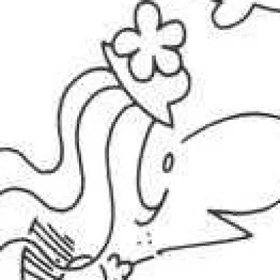 Sally Bananas