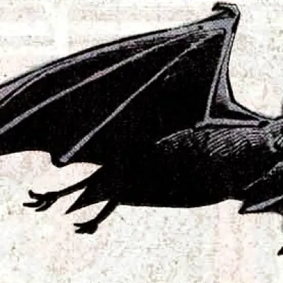 Salvatore