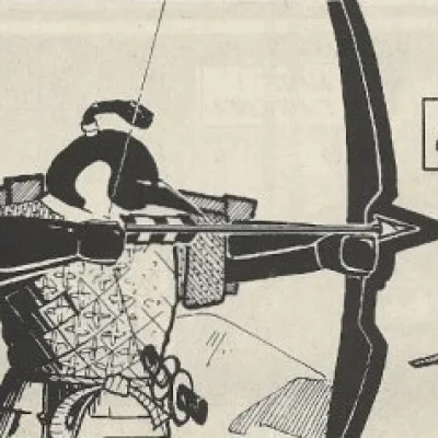 Samurai Penguin