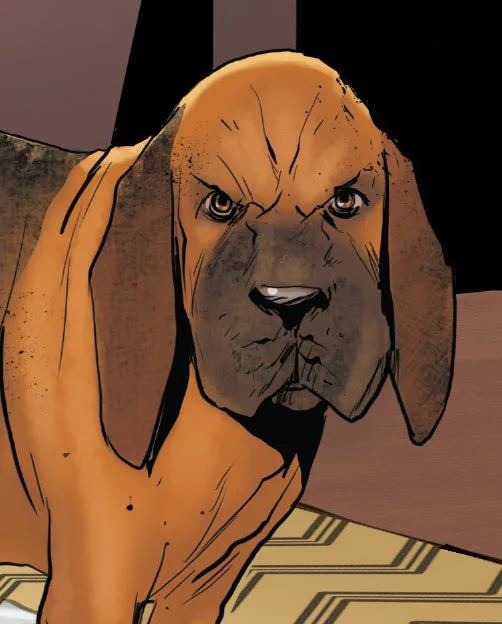 Sandor