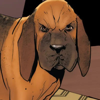 Sandor