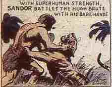 Sandor