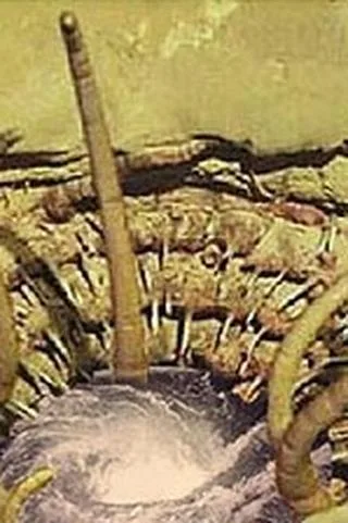 Sarlacc